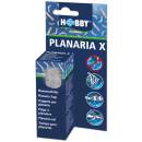 Planaria X Planarienfalle